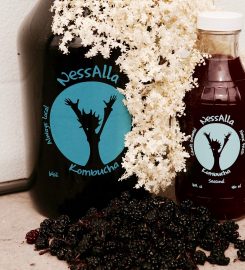 NessAlla Kombucha