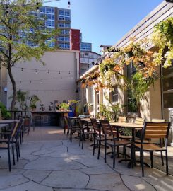 Robinia Courtyard